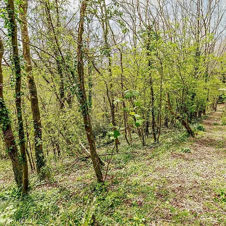 1 Bed In Bodmin Moor 91964 *
